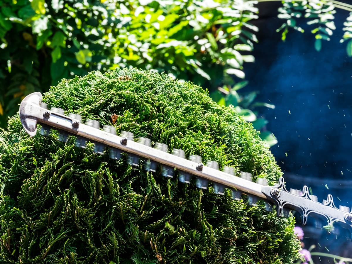 Hedge trimming — outdoor service by FlexiPlan Maintenance